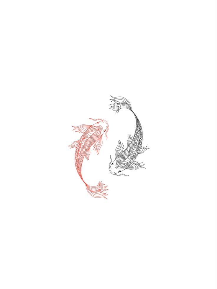 two koi fish swimming side by side on a white background with red and gray colors