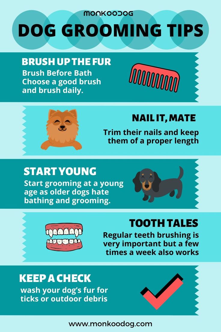 an info poster showing the different types of grooming tools and how to use them