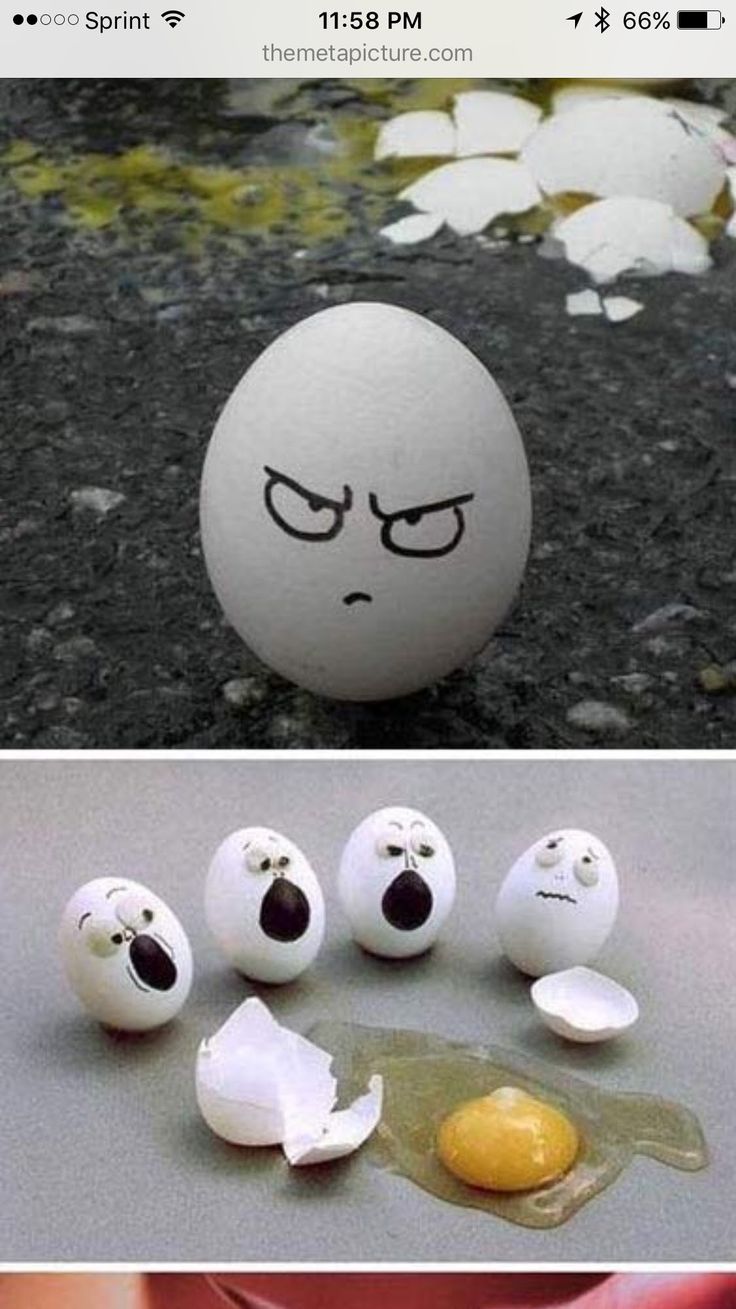 eggs with faces drawn on them, and an egg that looks like it has been hatched