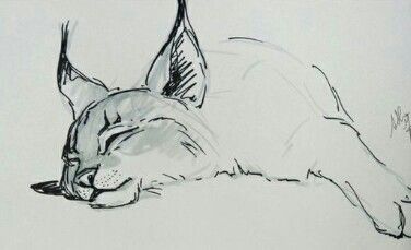 a drawing of a cat laying down with its eyes closed and it's head turned to the side