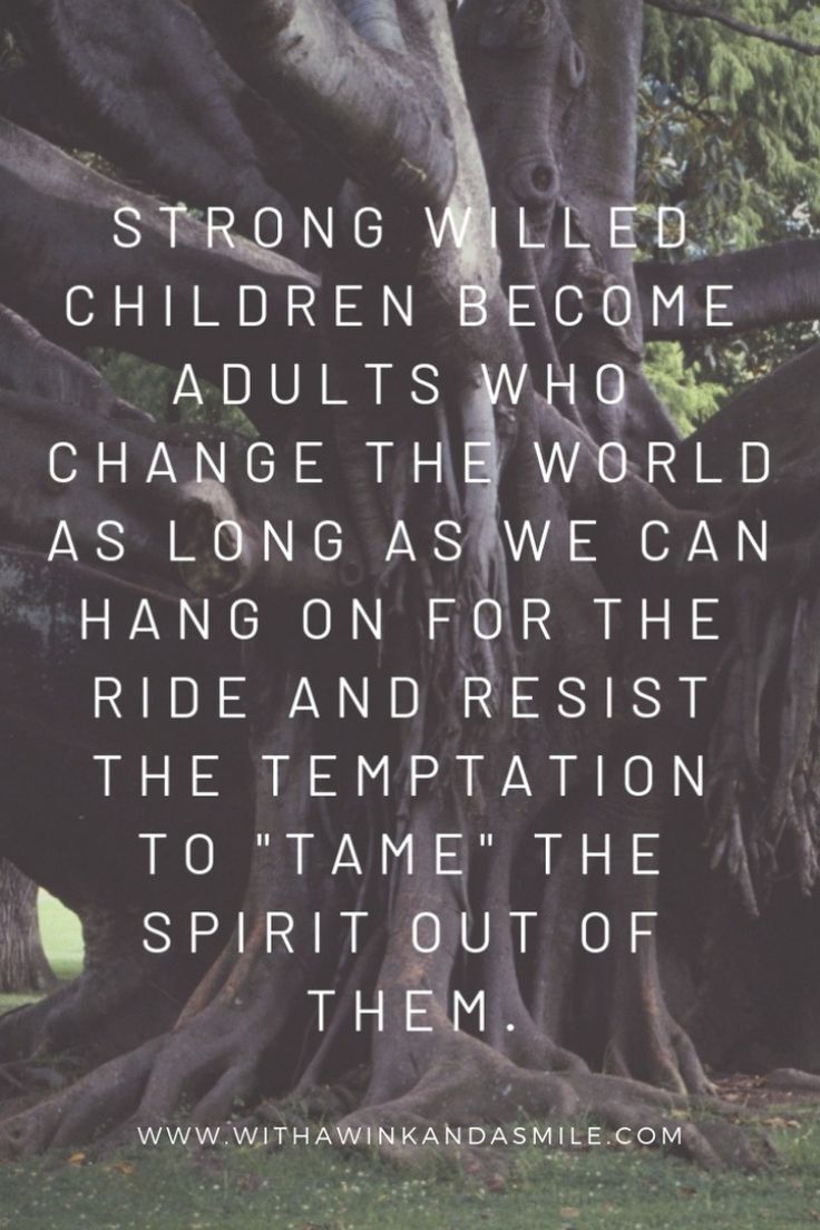 a large tree with the words, strong willed children become to change the world as long as we can hang on for the ride and rest