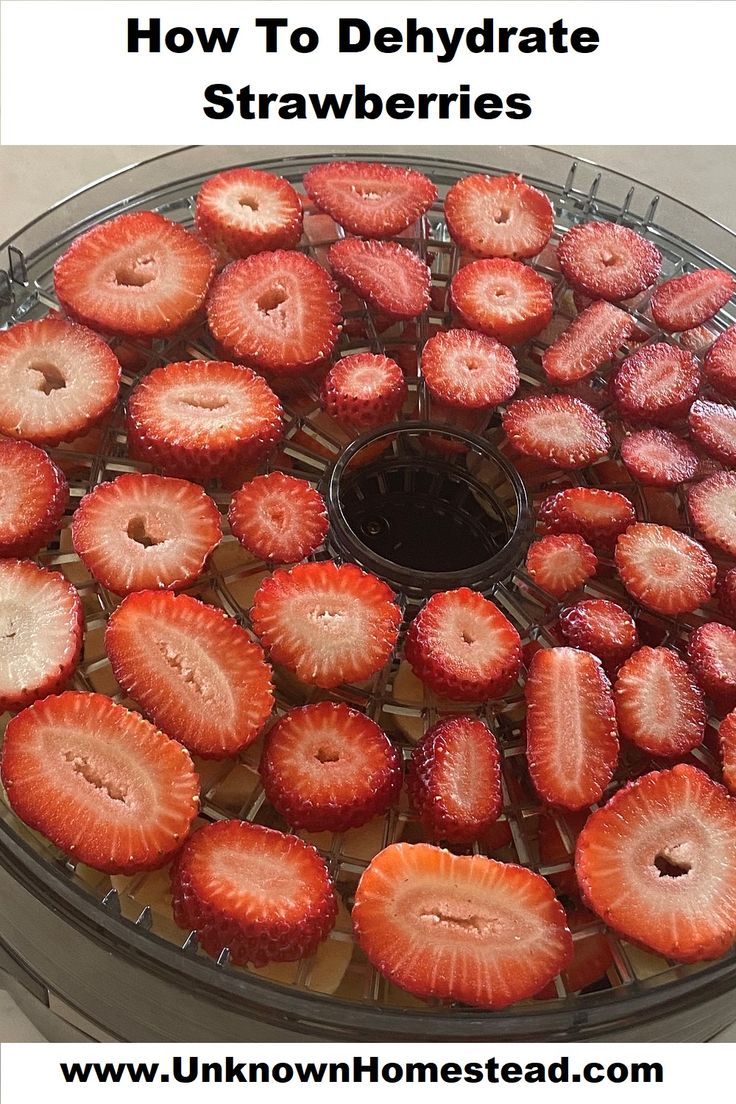 The shelf life of strawberries are not very long. My favorite way to make them last longer is to dehydrate them into yummy snacks! Dehydrated strawberries last a long time and are super yummy and nutritious! Dehydrate Strawberries, Dehydrator Recipes Fruit, Best Food Dehydrator, Dehydrating Food Storage, Dehydrated Strawberries, Food Dehydration, Dehydrated Vegetables, Dehydrated Fruit, Dried Vegetables