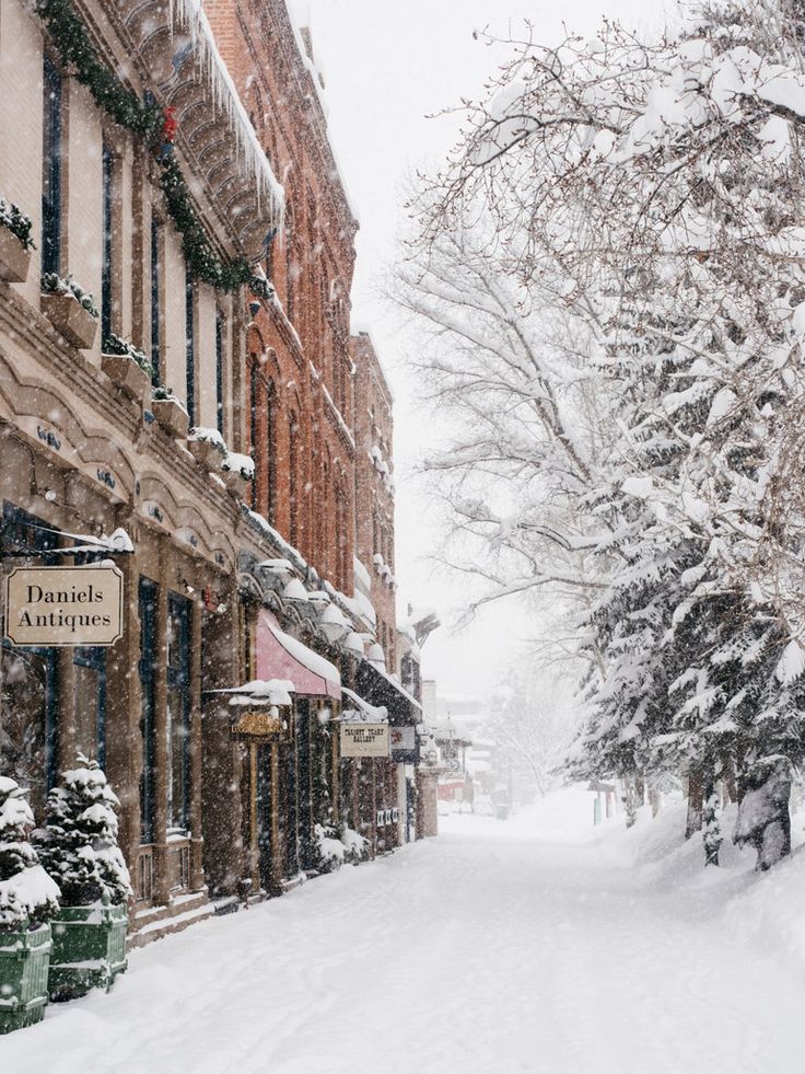 a snowy street lined with buildings and trees