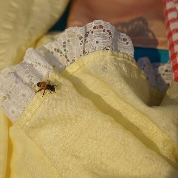 a spider crawling on top of a yellow shirt with white lace around it's edges