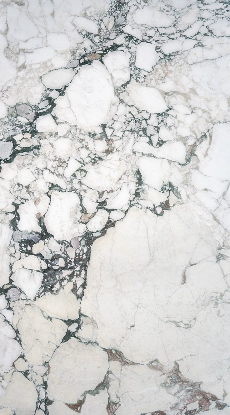 white marble with black and grey veining on the edges is seen in this image