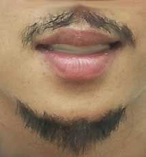 false moustache and goatee. Mustache And Goatee Style, Makeup Mustache, Moustache And Goatee, Mexican Mustache Styles, Moustache Goatee Combo, Spicy Moustache, Fake Mustache, Goatee Styles, Mustache And Goatee