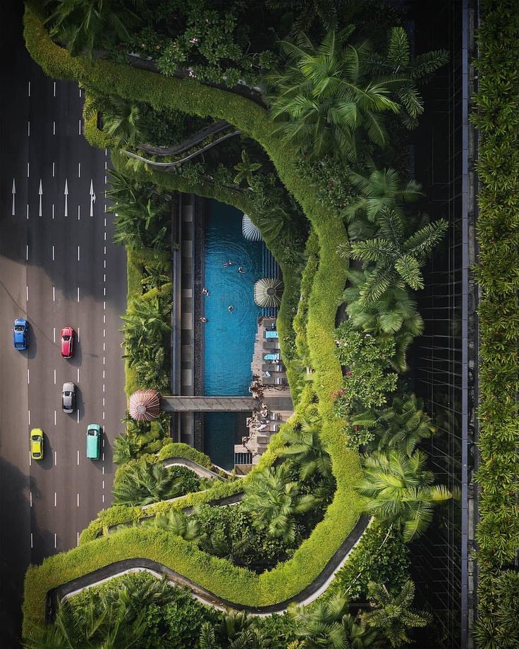 an aerial view of a road with trees and cars on it, surrounded by greenery