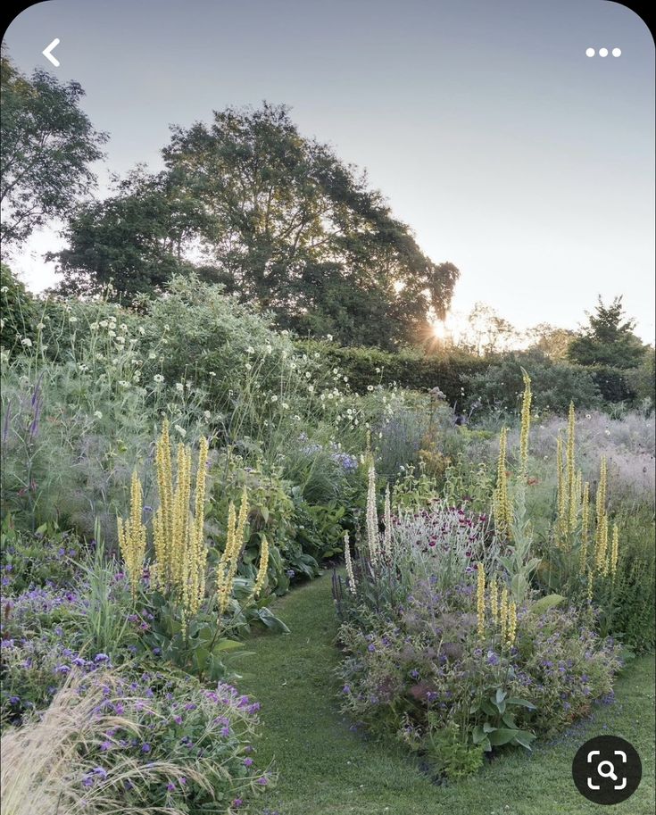 an image of a garden with flowers and plants in the foreground, on a phone screen