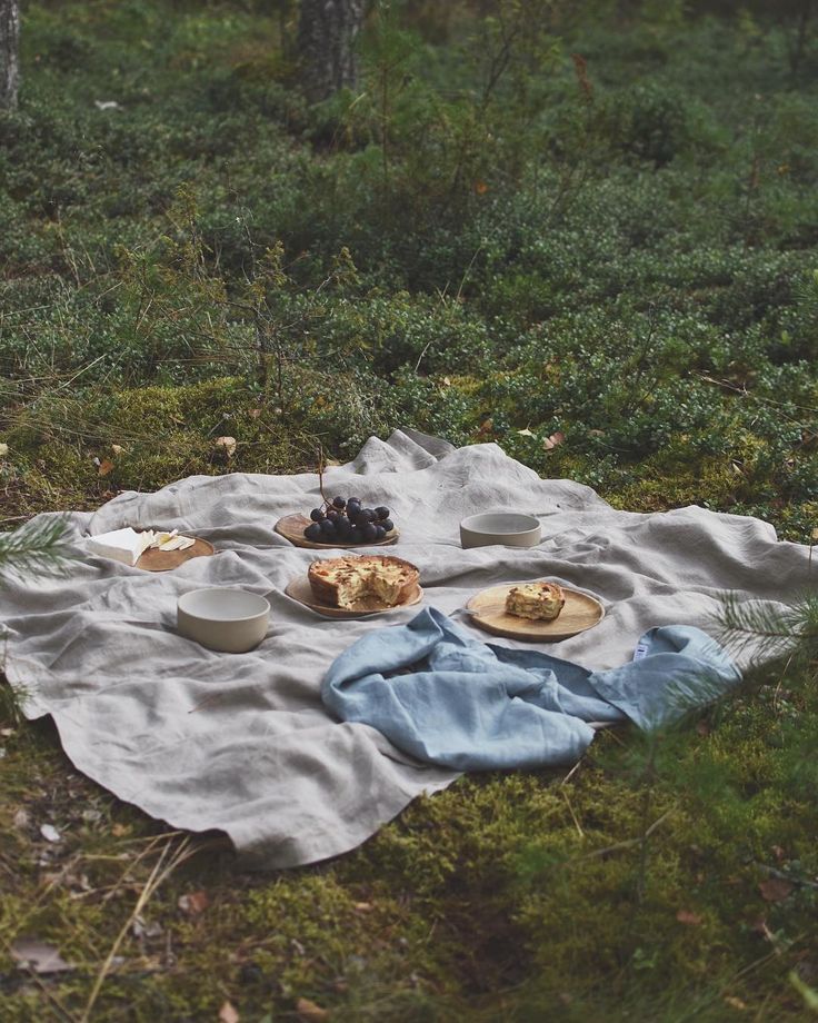 a picnic blanket with food on it in the woods