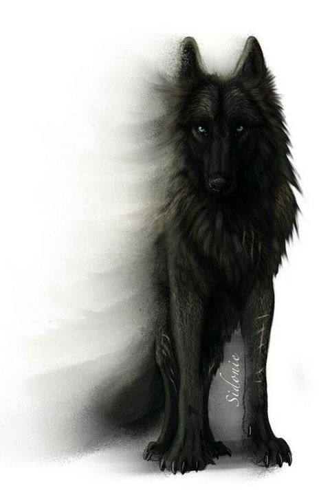 Fenrir Tattoo, Drawing Wolf, Fantasy Wolf, Wolf Wallpaper, Wolf Drawing, Wolf Pictures, Wolf Spirit, Wolf Tattoos, Wolf Tattoo