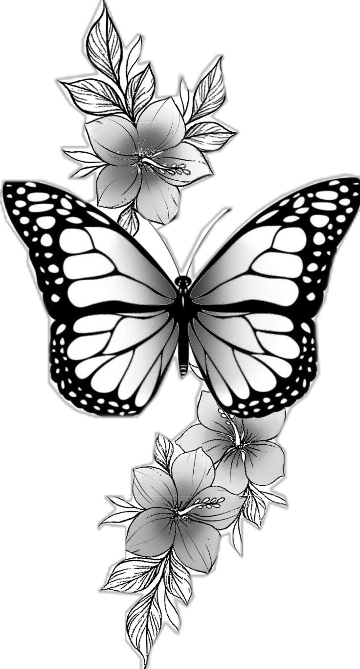 a black and white drawing of a butterfly with flowers on it's back side