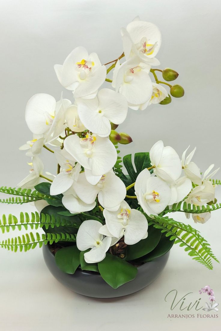 white orchids and ferns in a black bowl