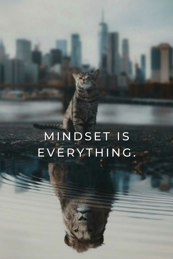 Motivational Quotes Mindset Is Everything, Inspirational Quotes Wallpapers, Motivational Quotes Wallpaper, Strong Mind Quotes, Business Inspiration Quotes, Postive Life Quotes, Positive Quotes For Life Motivation, Motivational Wallpaper, Motivational Picture Quotes