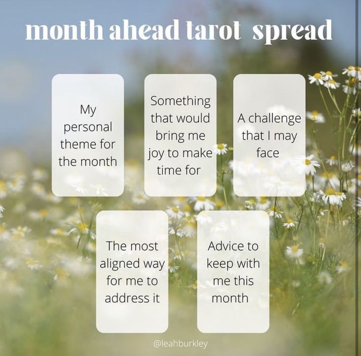 a field with daisies and the words, month ahead tarot spread on it