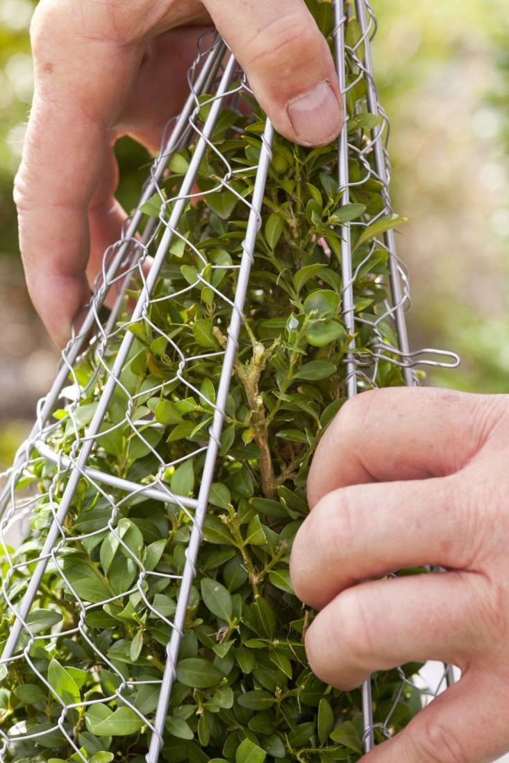 two hands are holding a wire mesh planter