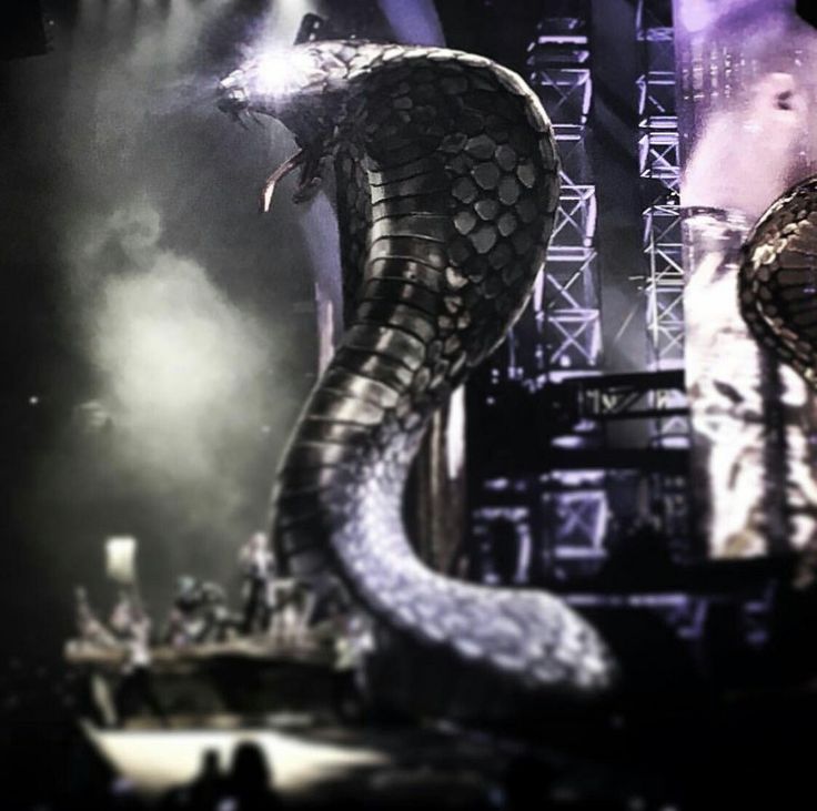 a large snake is on the stage with its mouth open