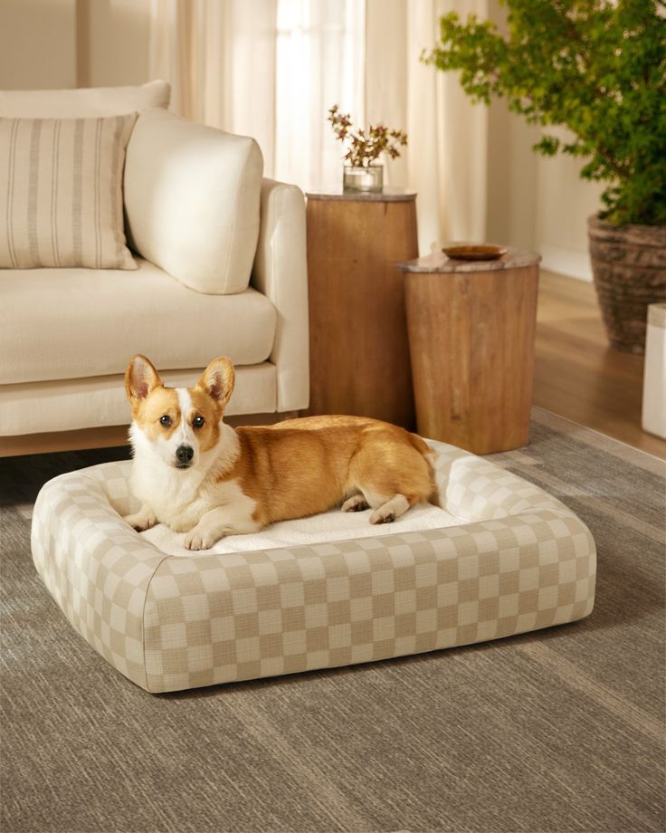 a dog laying on top of a bed in a living room