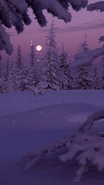 the night sky is lit up with snow and trees