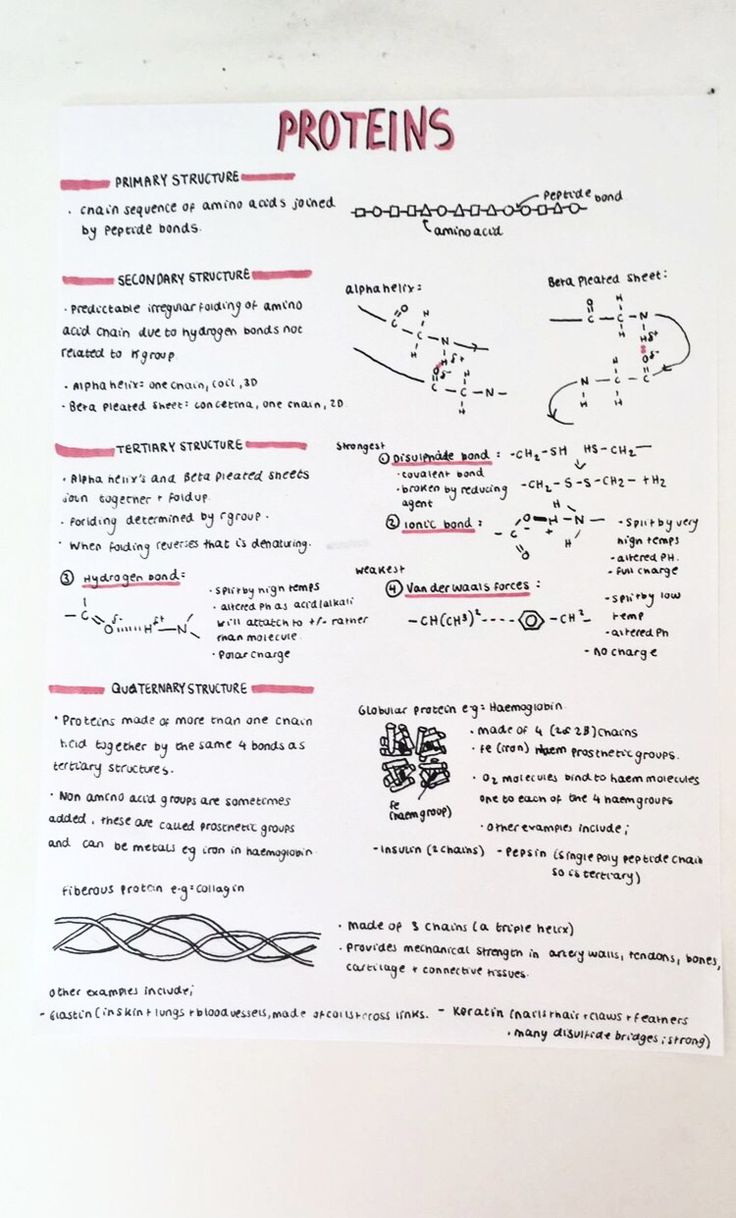 a piece of paper with some writing on it that says, proteins and other things