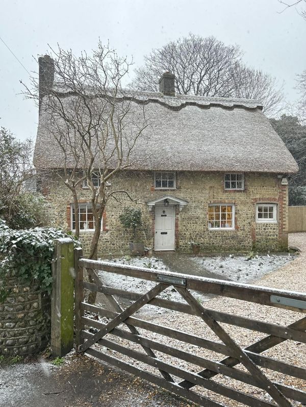 a thatched roof house with a wooden gate