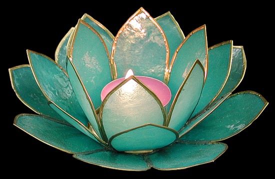 a green and pink lotus flower on a black background