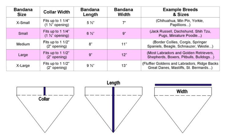 the diagram shows how to make an origami catnip with measurements and instructions