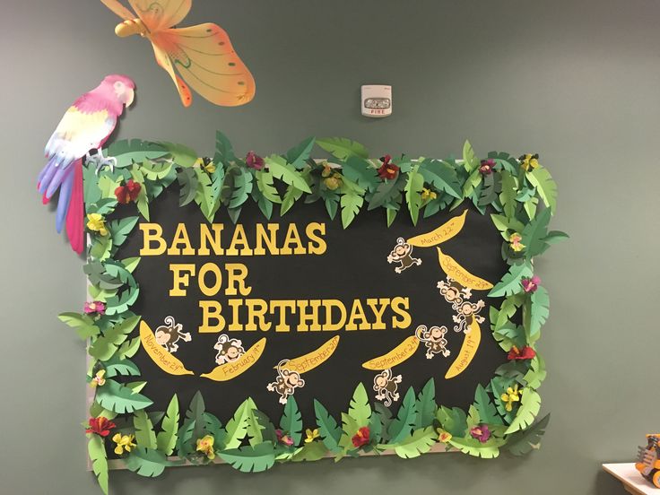 there is a sign that says bananas for birthdays and two birds on the wall