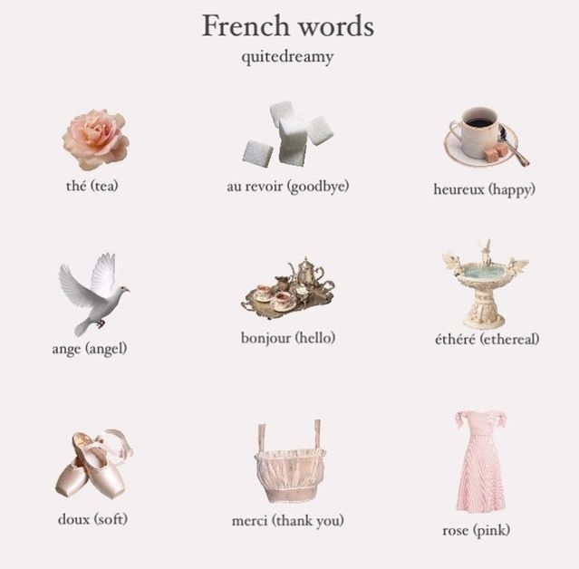 the french words are in different languages