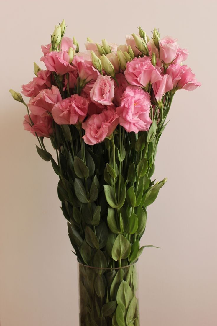 a vase filled with pink flowers on top of a table