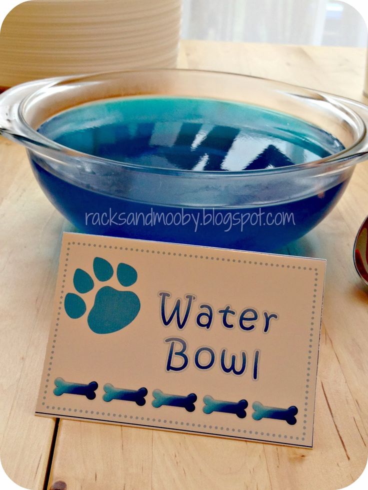 there is a bowl with water in it and a sign that says water bowl next to it