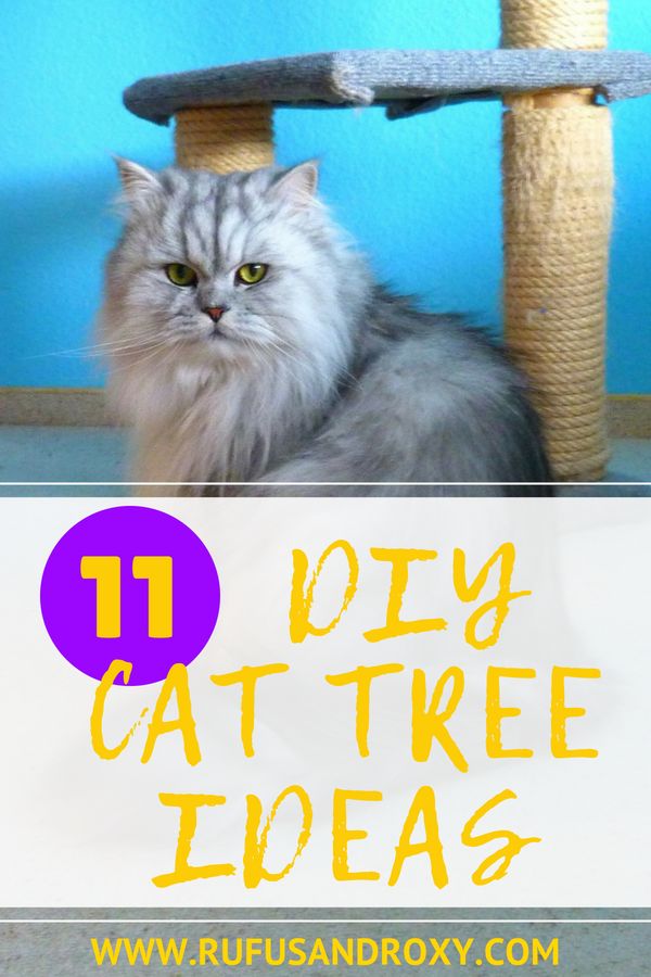 a cat sitting on top of a scratching post with the words 101 diy cat tree ideas