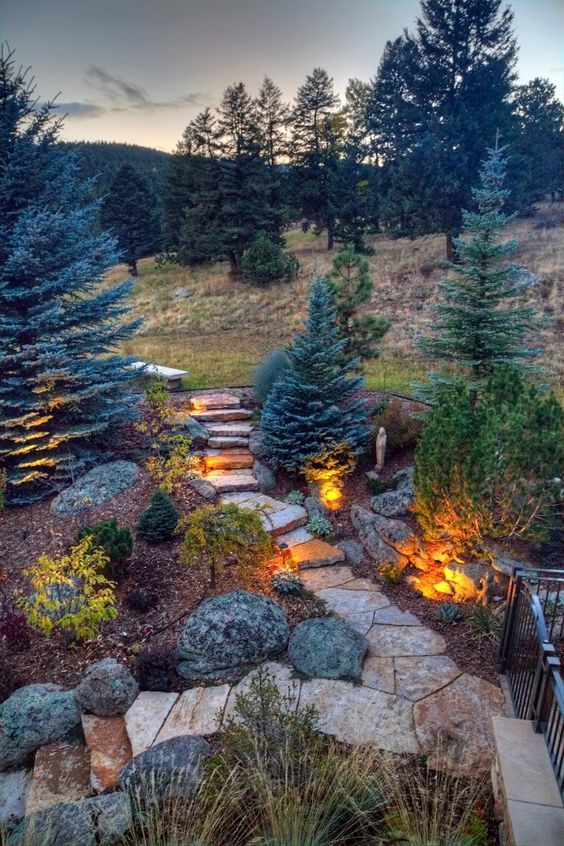 a stone path in the middle of a field with trees and bushes around it at night