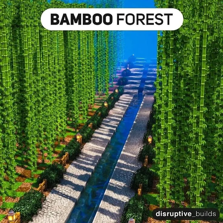 an image of a bamboo forest with water running through it