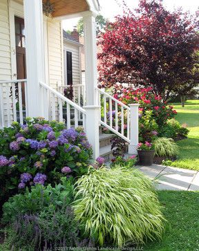 the front yard is full of flowers and shrubs