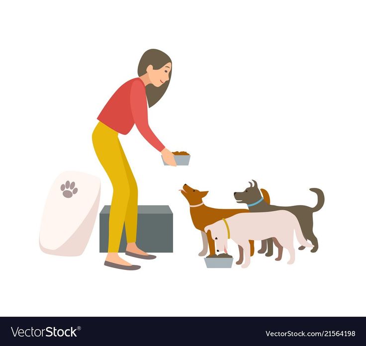 a man is feeding his dogs food out of a bowl