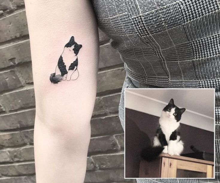 a black and white cat sitting on top of a wooden table next to a woman's arm