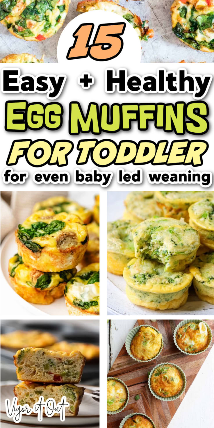 egg muffins for toddlers to eat with the help of their mother and father