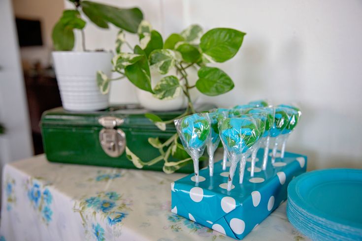 blue and white candy pops sitting on top of a table next to a potted plant