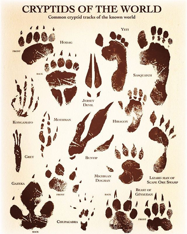 a poster with many different types of hand prints