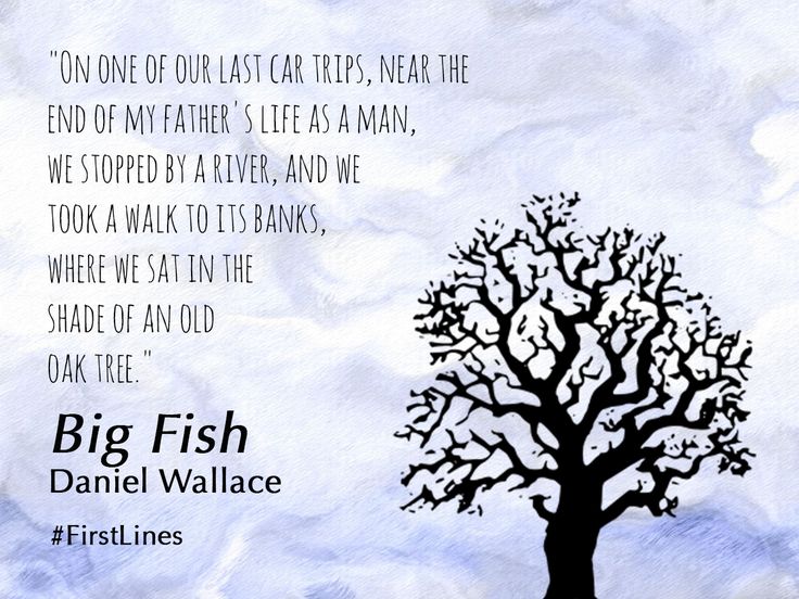 "On one of our last car trips, near the end of my father's life as a man, we stopped by a river, and we took a walk to its banks, where we sat in the shade of an old oak tree." — Big Fish, by Daniel Wallace #FirstLines Fish Inspiration, Opening Lines, Old Oak Tree, Big Fish, Oak Tree, Car Travel, A Walk, Book Quotes, Banks