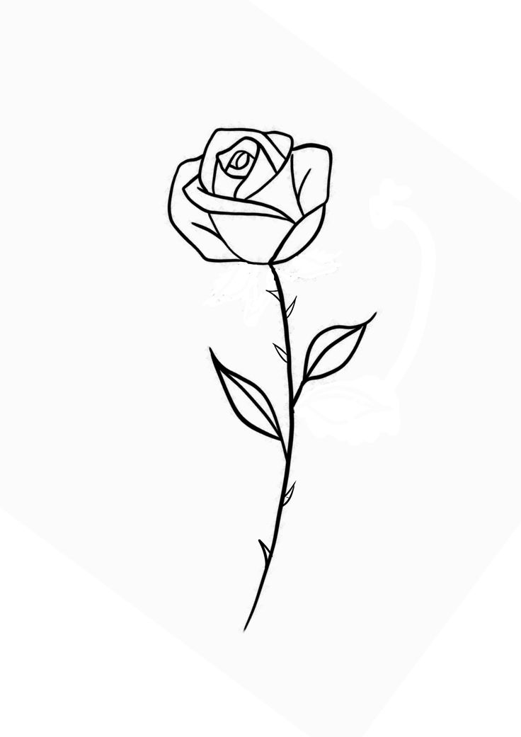 a black and white drawing of a rose