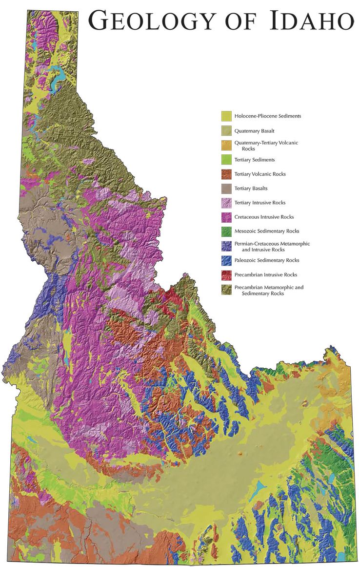 an image of a map of the state with different colors and areas to choose from