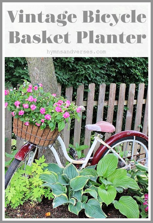 a bicycle with flowers in the basket is parked next to a tree and some plants