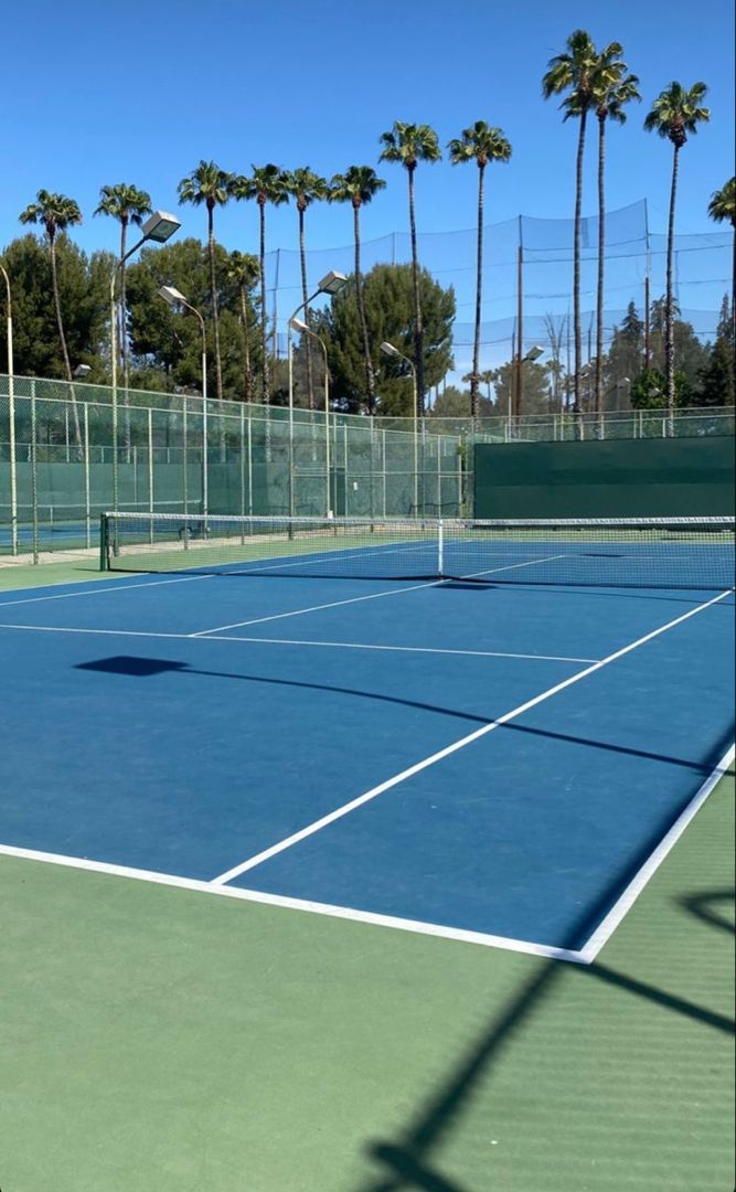 a tennis court with palm trees in the background and a blue sky above it that has white lines