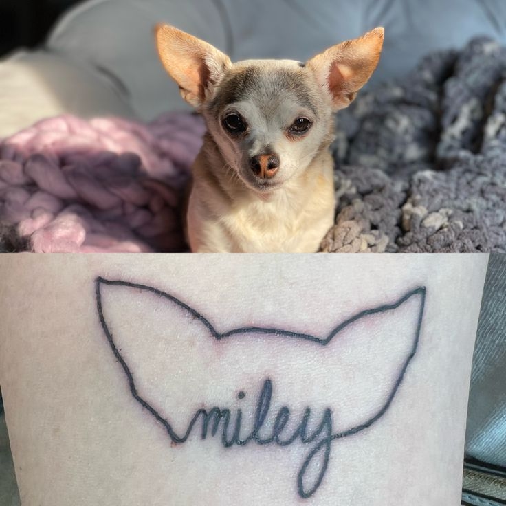 a small dog sitting on top of a bed next to a tattoo that reads miley