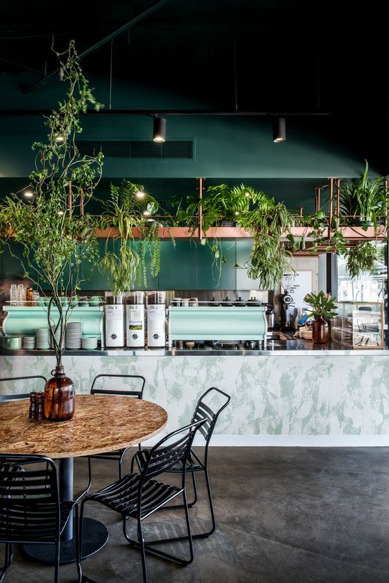 a restaurant with tables and chairs in front of the counter, potted plants hanging from the ceiling