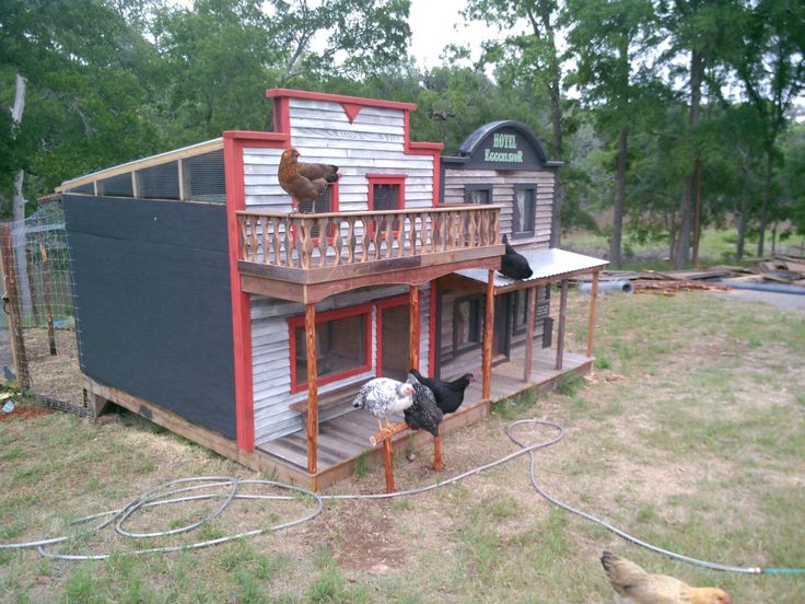 a chicken coop with chickens on the roof and in the yard next to it is a house