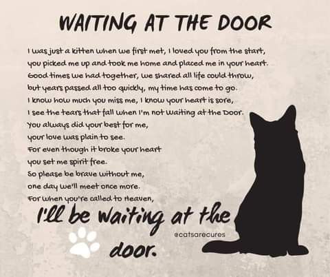 a cat sitting in front of a door with the words waiting at the door