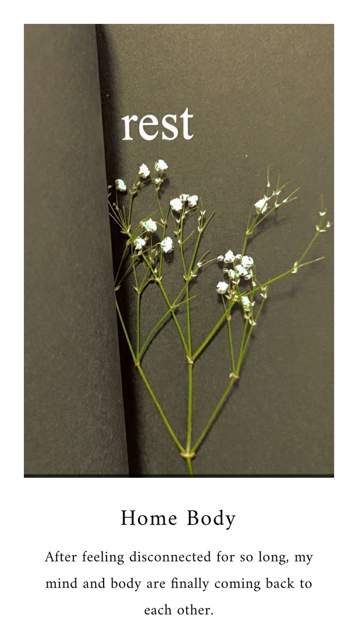 an open book with flowers on it and the words rest written in white above them