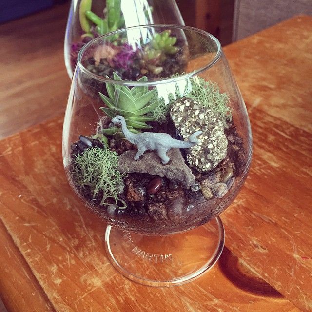 a glass filled with plants and rocks on top of a wooden table